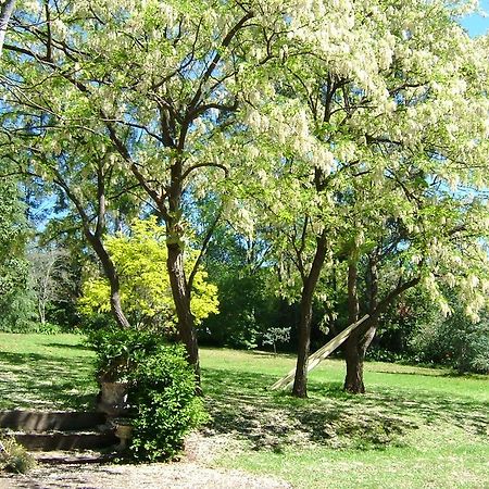 Hermitage Cottage Kurrajong Esterno foto