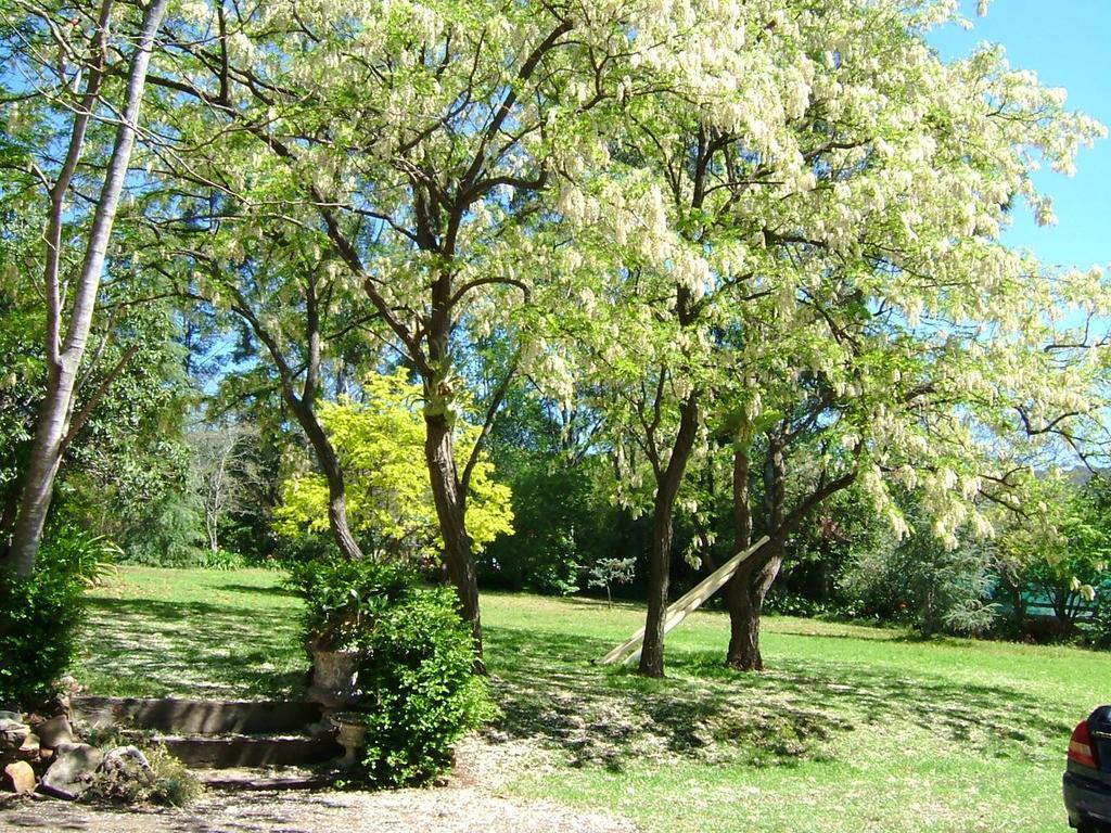 Hermitage Cottage Kurrajong Esterno foto